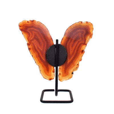 Butterfly with wings of polished slices of natural brown agate gemstone and black metallic body. The butterfly has a height of 14m.